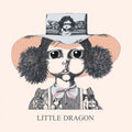 Little Dragon - Little Dragon (UK import) [ VINYL LP ]