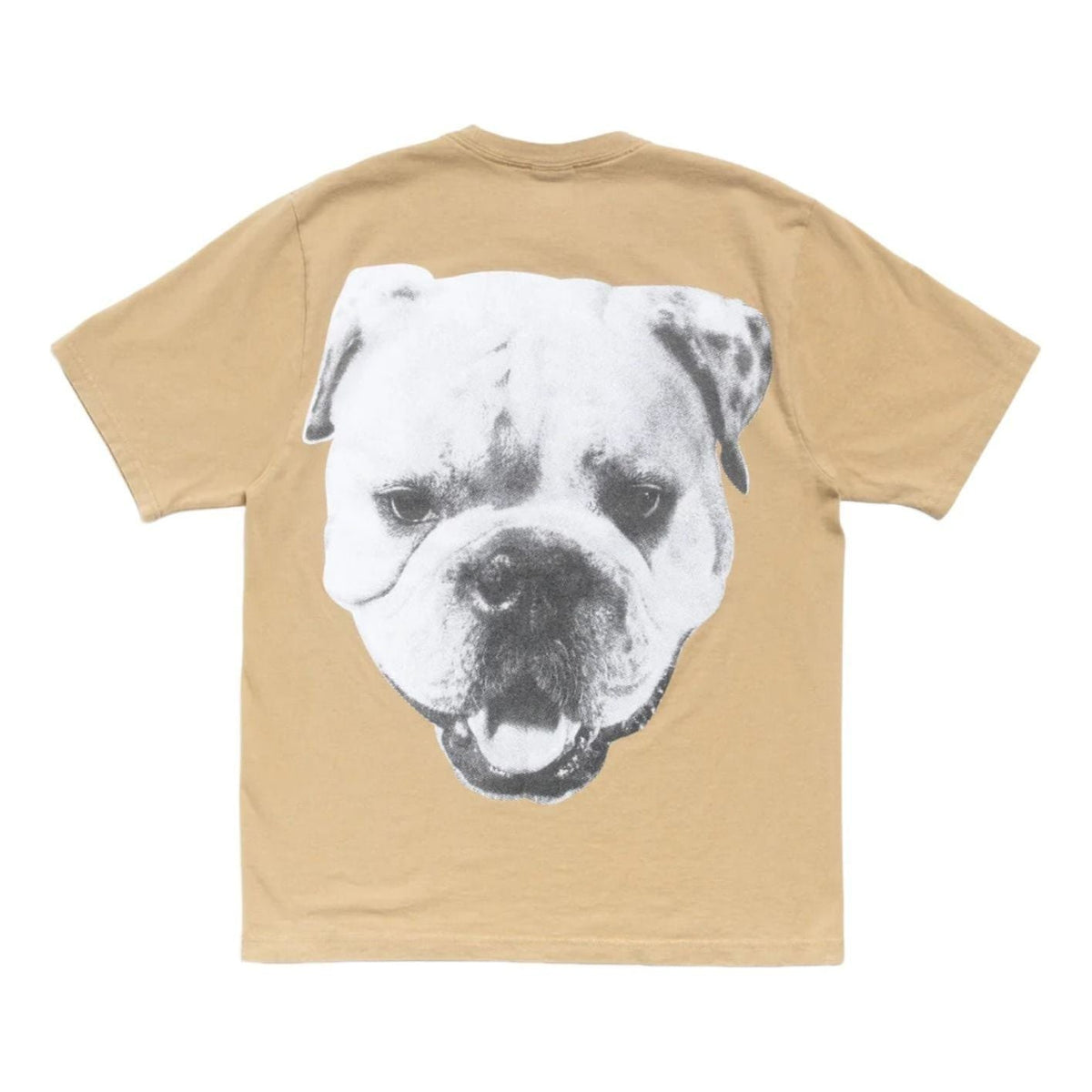 Stussy Big Dog Stone Washed T-Shirt 'Khaki' 1905211-KHAK