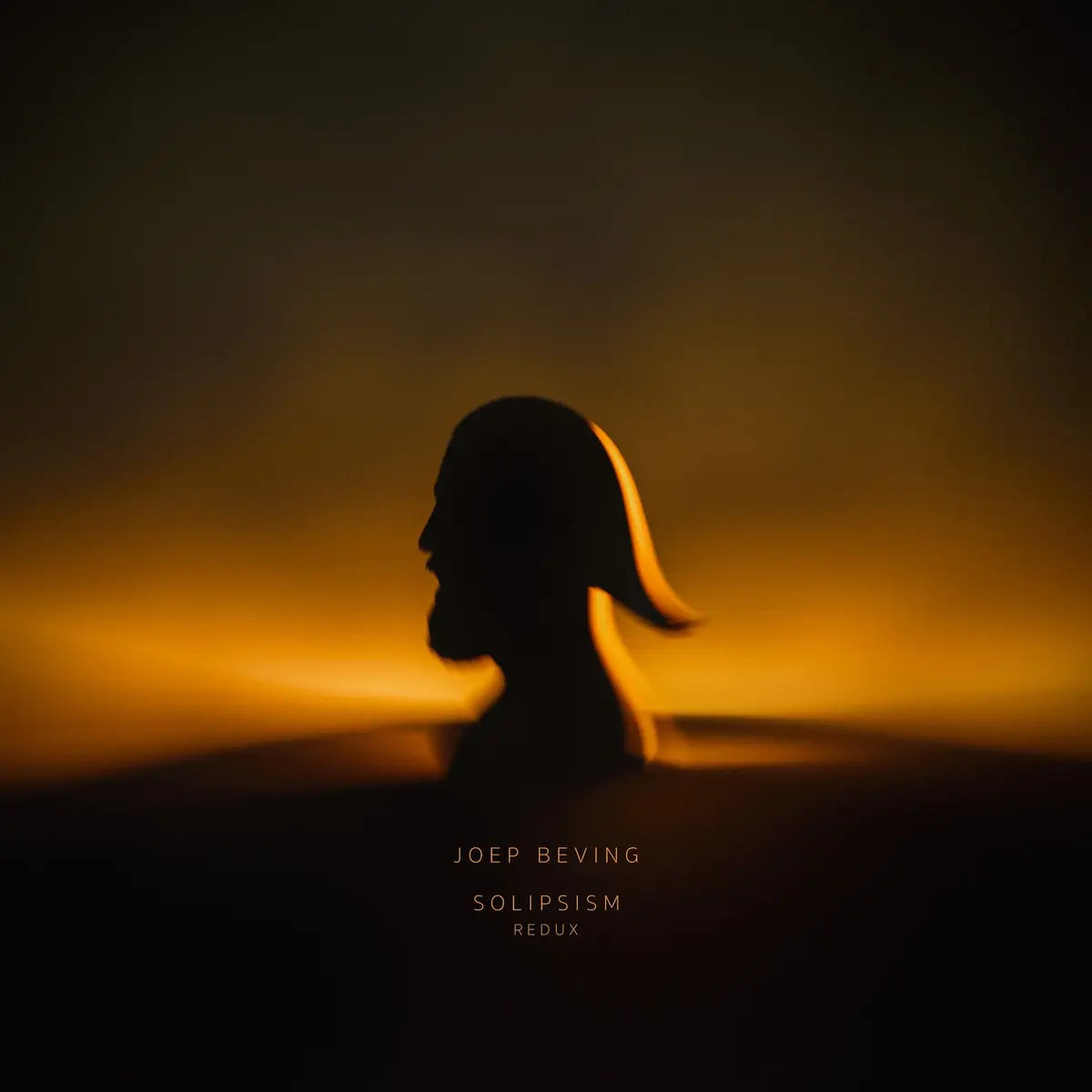 Joep Beving - Solipsism Redux [ VINYL LP ]
