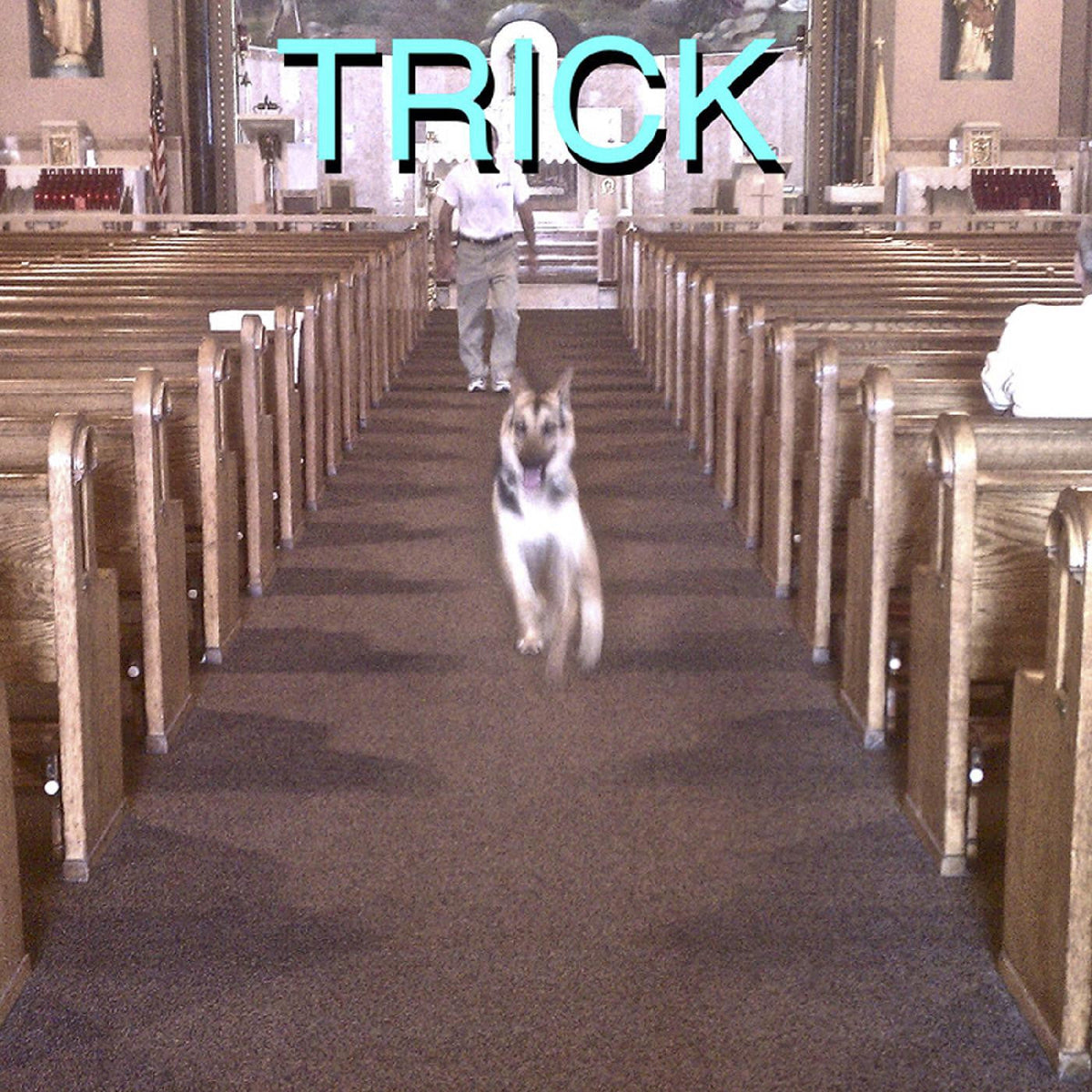 Alex G - Trick (DELUXE EDITION) [ VINYL LP ]