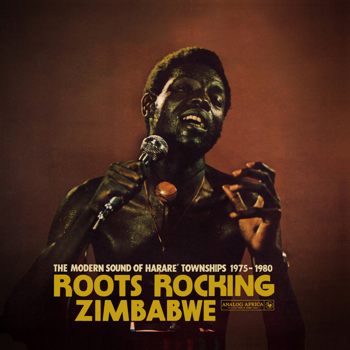 Various - Roots Rocking Zimbabwe: The Modern Sound of Harare's Townships 1975-1980 [ VINYL LP ]