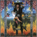 Steve Vai - Passion & Warfare [Import] [ VINYL LP ]