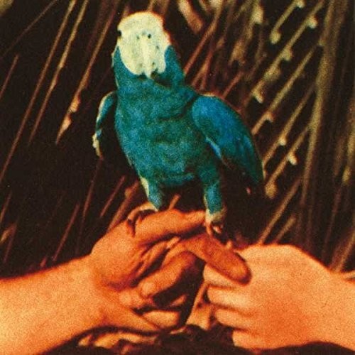 Andrew Bird - Are You Serious [Vinyl] [ VINYL LP ]