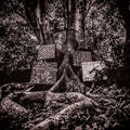 Kamasi Washington - Harmony Of Difference [LP] [ VINYL LP ]