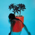 Local Natives - Sunlit Youth [LP] [ VINYL LP ]