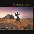 Pink Floyd - A Collection of Great Dance Songs [LP] [ VINYL LP ]