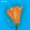 Moaning - Uneasy Laughter [LP] [ VINYL LP ]