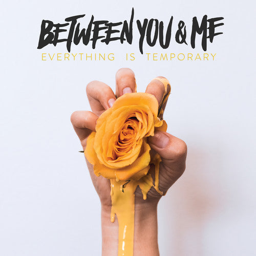 Between You & Me - Everything Is Temporary [Download Included] [ VINYL LP ]