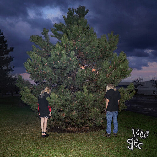 100 gecs - 1000 Gecs [ VINYL LP ]