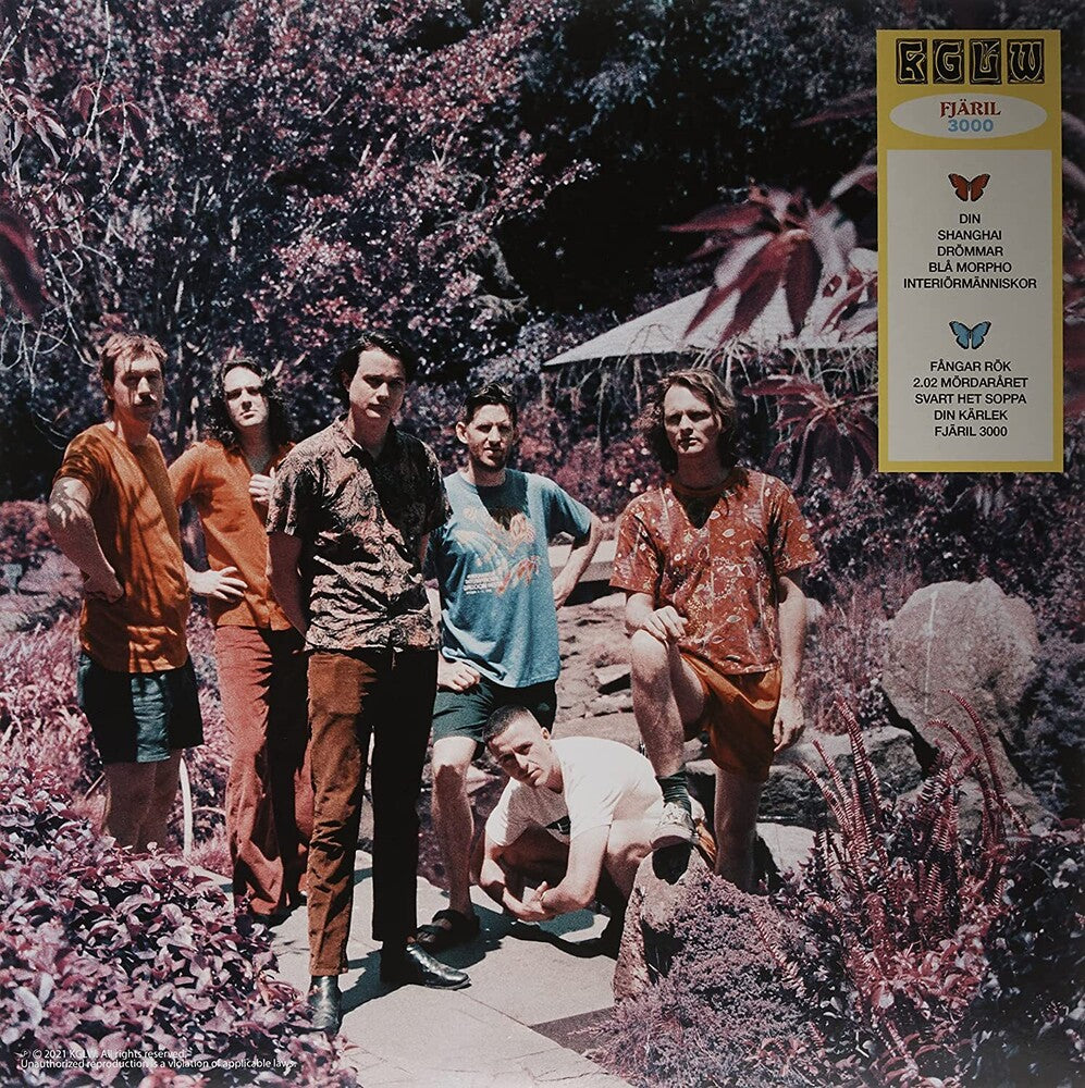 King Gizzard & The Lizard Wizard - Butterfly 3000 [Indie Exclusive Limited Edition Swedish LP] [ VINYL LP ]