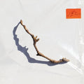 PJ Harvey - I Inside the Old Year Dying [LP] [ VINYL LP ]