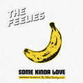 Feelies - Some Kinda Love: Performing Music Of The Velvet [ VINYL LP ]