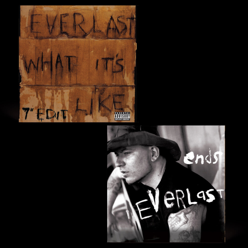 Everlast - What It's Like/Ends [ VINYL LP ]