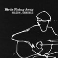 Mason Jennings - Birds Flying Away [ VINYL LP ]