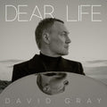 David Gray - Dear Life [ VINYL LP ]