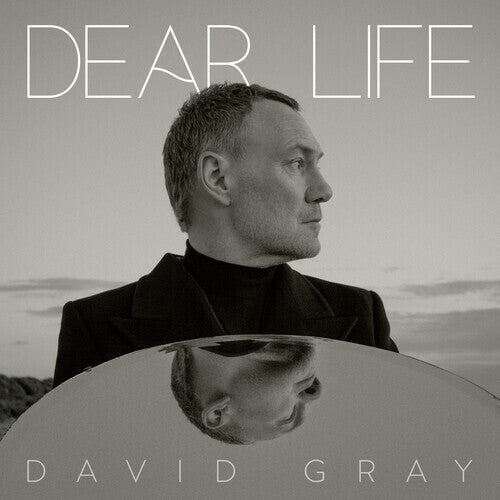 David Gray - Dear Life [ VINYL LP ]