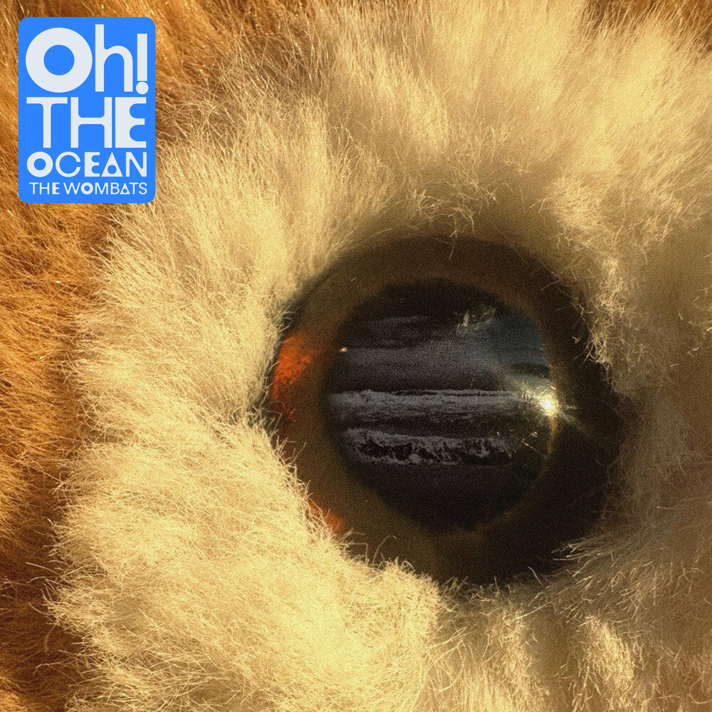 The Wombats - Oh! The Ocean [Indie exclusive Cloudy clear] [ VINYL LP ]