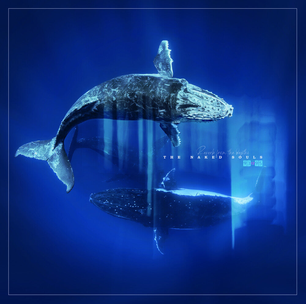 Naked Soul - Reverb From The Depths [ VINYL LP ]