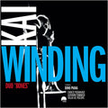 Winding / Piana / Pieranunzi / Tommaso - Duo Bones [180 Gram] [Remastered] [ VINYL LP ]