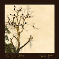 Glass Hours - Chapel Glass [ VINYL LP ]