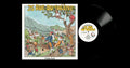 NATHAN ROCHE - 35 Rue Du Theatre [ VINYL LP ]