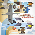 Guide to the Birdsong of Migration / Various - A Guide to the Birdsong of Migration (Various Artists) [ VINYL LP ]