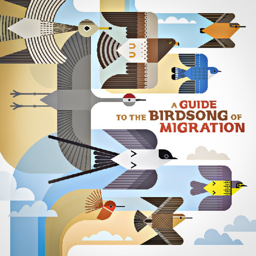 Guide to the Birdsong of Migration / Various - A Guide to the Birdsong of Migration (Various Artists) [ VINYL LP ]