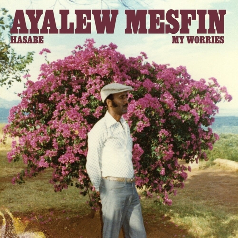 Mesfin, Ayalew - Hasabe - My Worries [ VINYL LP ]