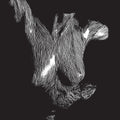 Oceansize - Self Preserved While The Bodies Float Up (Aniv) [ VINYL LP ]