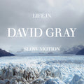 David Gray - Life In Slow Motion (20th Anniversary Edition) [ VINYL LP ]