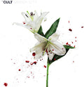 Cult - Hidden City [Colored Vinyl] (Gate) (Red) (Wht) [ VINYL LP ]