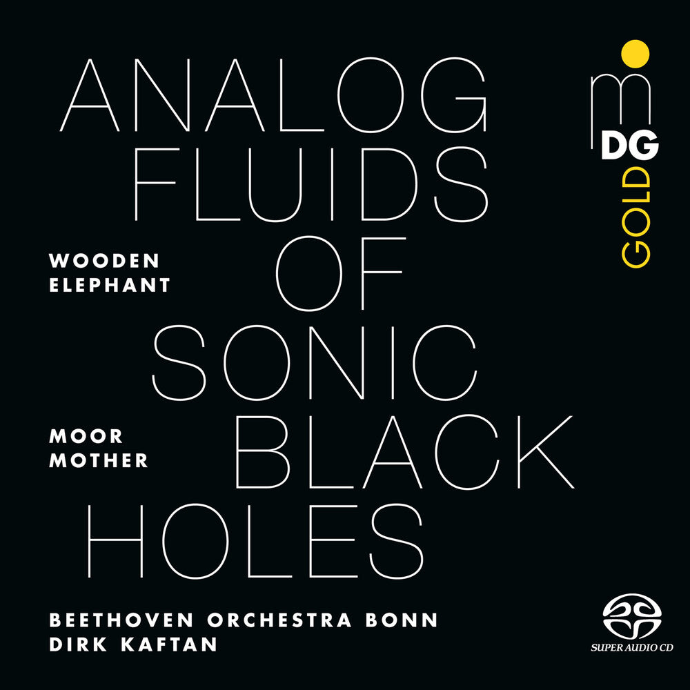 Pre-Order: Moor Mother - Analog Fluids Of Sonic Black Holes [ VINYL LP ]