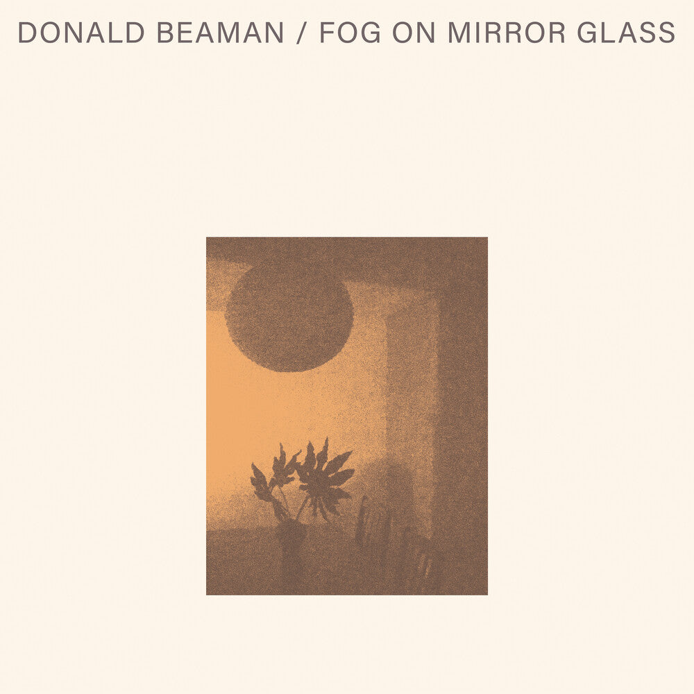 Donald Beaman - Fog On Mirror Glass [ VINYL LP ]