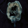 Ship Sket - Initiatrix (Stic) [ VINYL LP ]