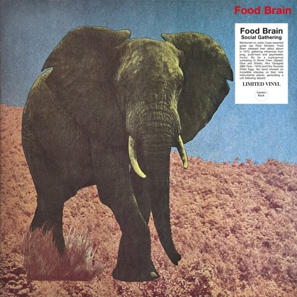 Food Brain - Social Gathering [ VINYL LP ]