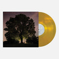 Pre-Order: Tyler Ramsey / Carl Broemel - Celestun [Indie Exclusive Gold Colored Vinyl] [ VINYL LP ]