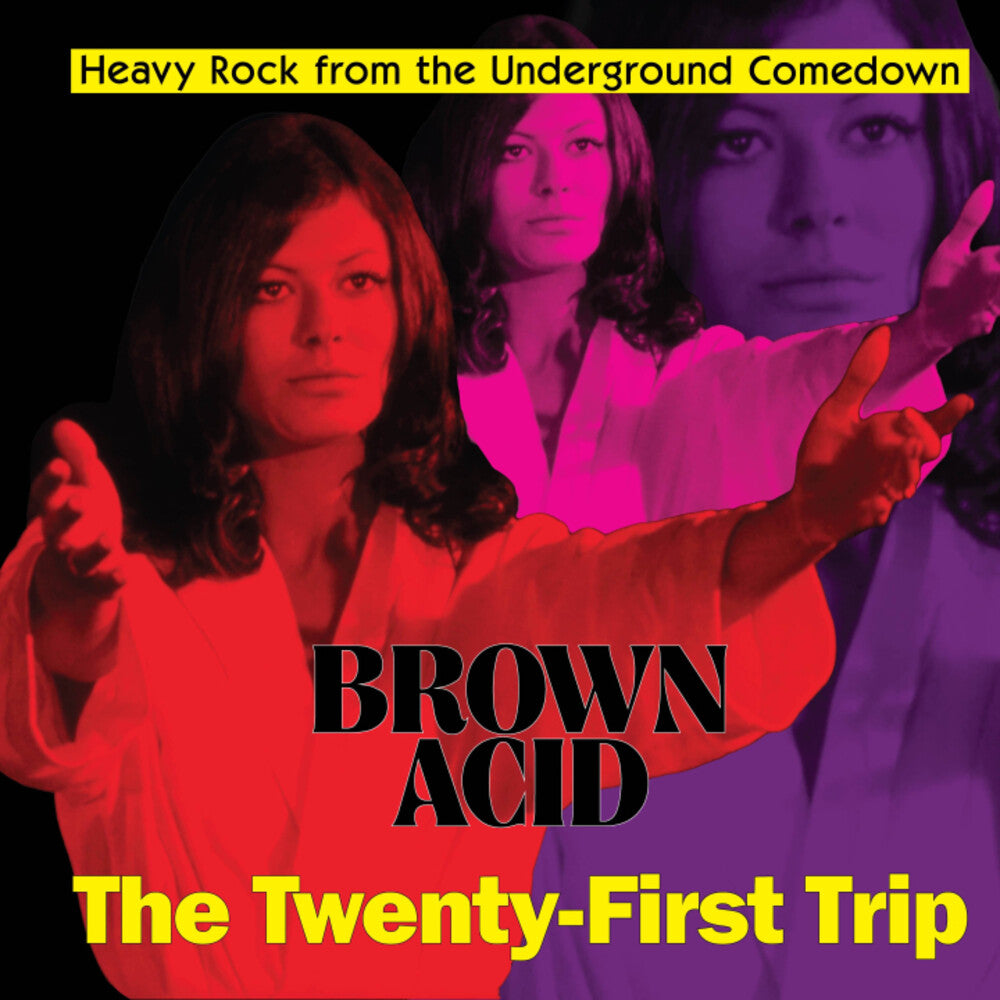 Various Artists - Brown Acid - The Twenty-First Trip [ VINYL LP ]