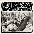 Ngc-4594 - What Ngc-4594 Really Means [ VINYL LP ]