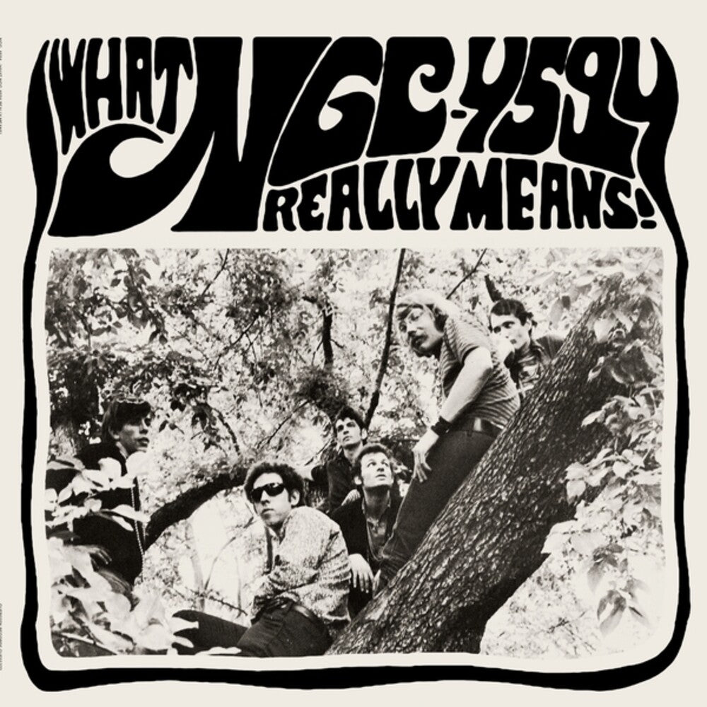 Ngc-4594 - What Ngc-4594 Really Means [ VINYL LP ]
