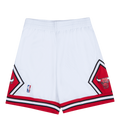 Bulls Swingman Shorts