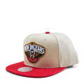Pelicans Core Basics Snapback