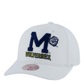 Wolverines All In Pro Snapback