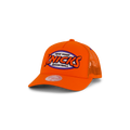 Knicks Team Seal Trucker HWC