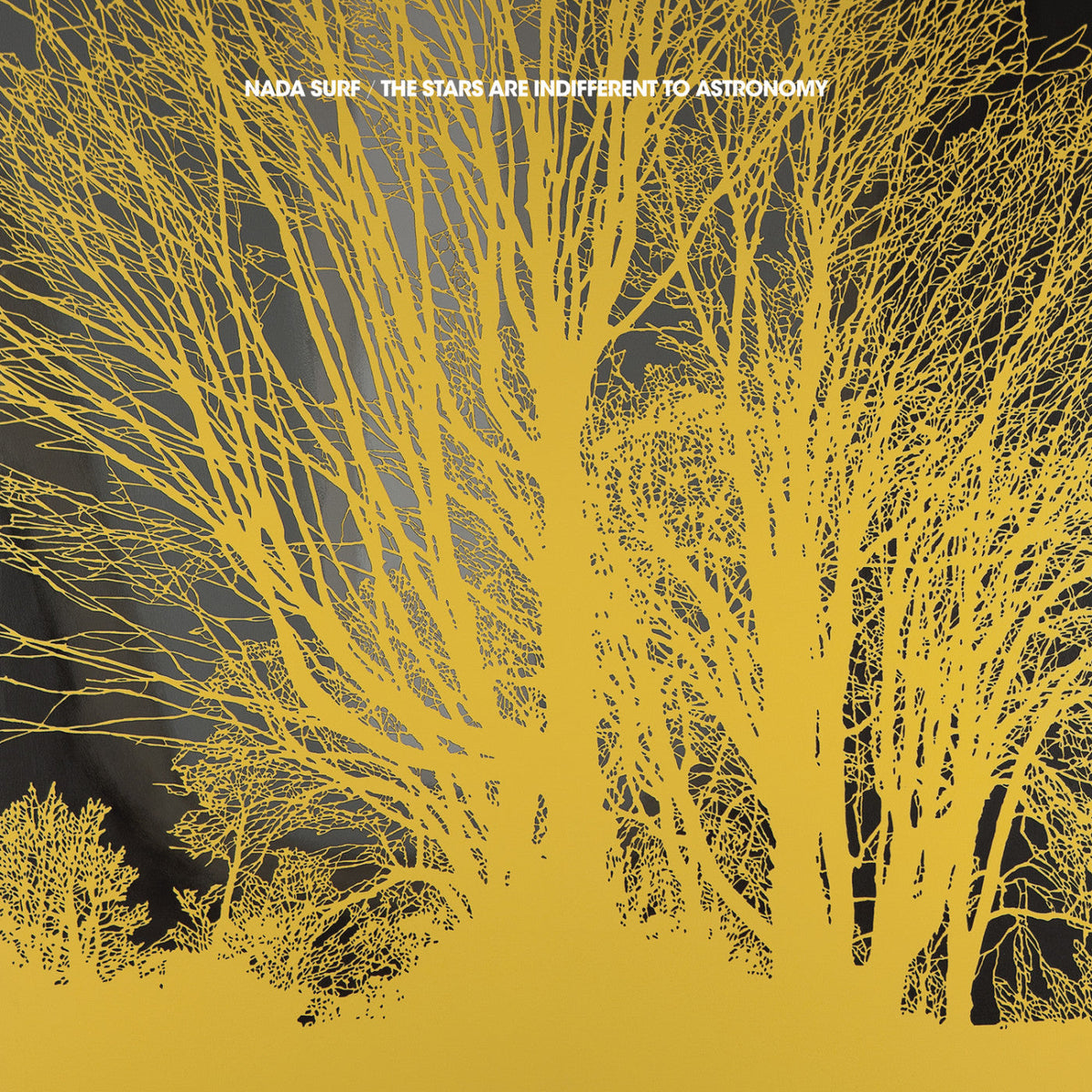 Nada Surf - The Stars Are Indifferent To Astronomy [ VINYL LP ]
