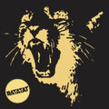 Ratatat - Classics [ VINYL LP ]