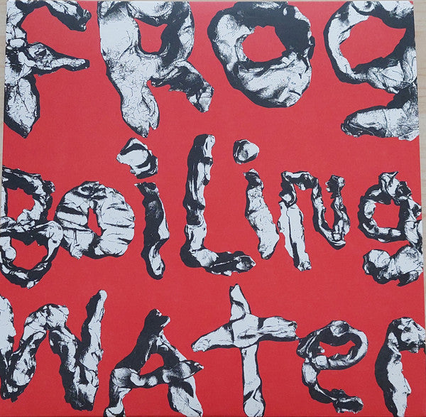 DIIV - Frog In Boiling Water [ VINYL LP ]