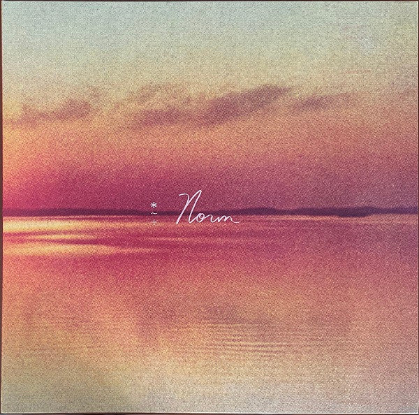 SHAUF,ANDY - Norm [ VINYL LP ]