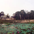 Sarathy Korwar - KALAK [ VINYL LP ]