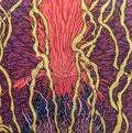 Zozobra - Harmonic Tremors [ VINYL LP ]