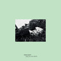 Steve Hiett - Girls In The Grass [ VINYL LP ]